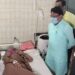 ଯାଜପୁର ଜିଲ୍ଲାରେ ଡାଇରିଆ ବ୍ୟାପୁଛି
