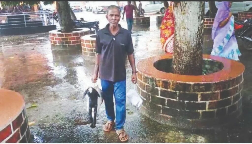 ନ୍ୟାୟ ପାଇଁ ଜିଲ୍ଲାପାଳଙ୍କ ଅଭିଯୋଗ ଶୁଣାଣିରେ ପହଁଚିଲା ଛେଳିଛୁଆ, ଏମିତି କହିଲେ ଜିଲ୍ଲାପାଳ
