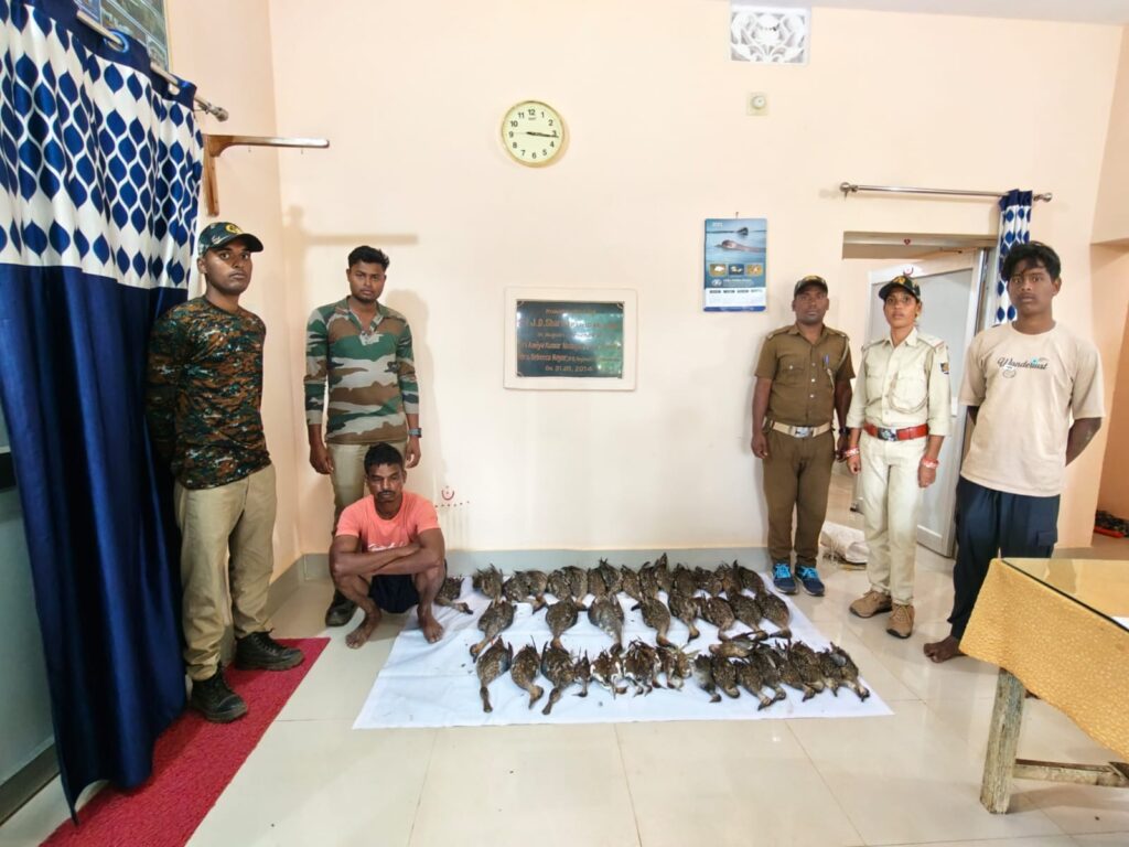 44 ଟି ମୃତ ବିଦେଶୀ ପକ୍ଷୀ ଜବତ, ଦୁଇ ପକ୍ଷୀ ଶିକାରୀ ଗିରଫ