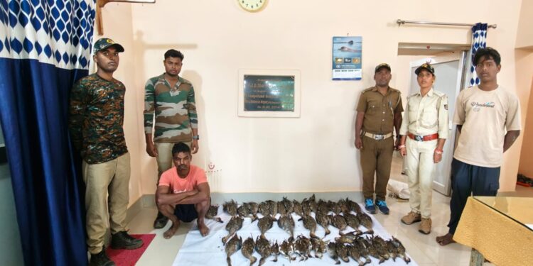 44 ଟି ମୃତ ବିଦେଶୀ ପକ୍ଷୀ ଜବତ, ଦୁଇ ପକ୍ଷୀ ଶିକାରୀ ଗିରଫ