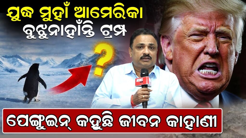 ଯୁଦ୍ଧ ମୁହାଁ ଆମେରିକା ,ବୁଝୁନାହାଁନ୍ତି ଟ୍ରମ୍ପ,ପେଙ୍ଗୁଇନ୍ କହୁଛି ଜୀବନ କାହାଣୀ