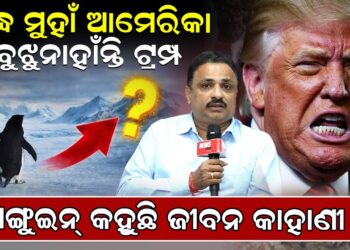 ଯୁଦ୍ଧ ମୁହାଁ ଆମେରିକା ,ବୁଝୁନାହାଁନ୍ତି ଟ୍ରମ୍ପ,ପେଙ୍ଗୁଇନ୍ କହୁଛି ଜୀବନ କାହାଣୀ ଯୁଦ୍ଧ ମୁହାଁ ଆମେରିକା ,ବୁଝୁନାହାଁନ୍ତି ଟ୍ରମ୍ପ,ପେଙ୍ଗୁଇନ୍ କହୁଛି ଜୀବନ କାହାଣୀ