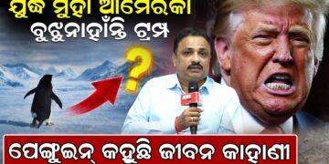 ଯୁଦ୍ଧ ମୁହାଁ ଆମେରିକା ,ବୁଝୁନାହାଁନ୍ତି ଟ୍ରମ୍ପ,ପେଙ୍ଗୁଇନ୍ କହୁଛି ଜୀବନ କାହାଣୀ