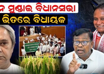 ଧାନ ମୁଣ୍ଡାଇ ବିଧାନସଭା, ଭିତରେ ବିଧାୟକ