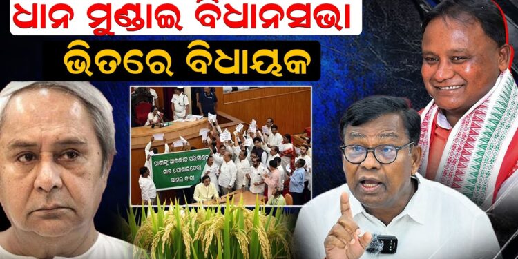 ଧାନ ମୁଣ୍ଡାଇ ବିଧାନସଭା, ଭିତରେ ବିଧାୟକ