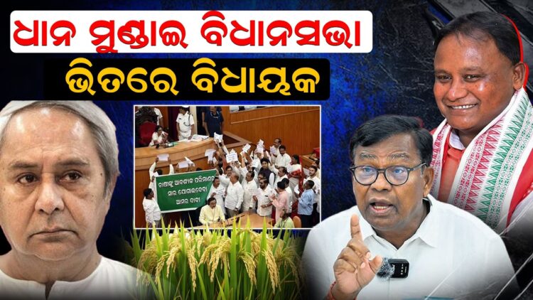 ଧାନ ମୁଣ୍ଡାଇ ବିଧାନସଭା, ଭିତରେ ବିଧାୟକ