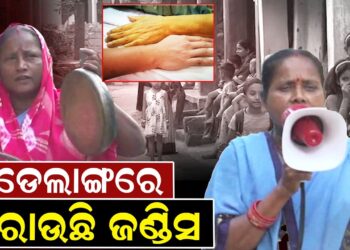 ଡେଲାଙ୍ଗରେ ଡରାଉଛି ଜଣ୍ଡିସ