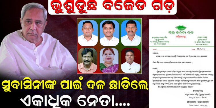 ସୁବାସିନୀଙ୍କ ପାଇଁ ଦଳ ଛାଡିଲେ ଏକାଧିକ ନେତା..