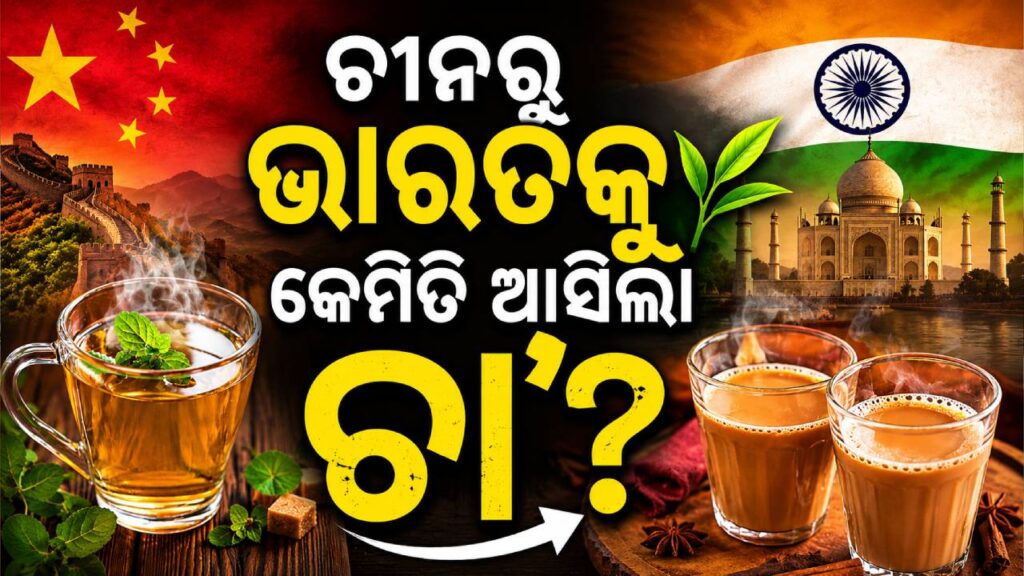 ଚୀନ ସମ୍ରାଟଙ୍କ ପାଖରୁ ଭାରତକୁ କେମିତି ଆସିଲା ଚା’, ଜାଣନ୍ତୁ ୨୧ ମେ’ରେ କାହିଁକି ପାଳନ କରାଯାଏ International Tea Day ?