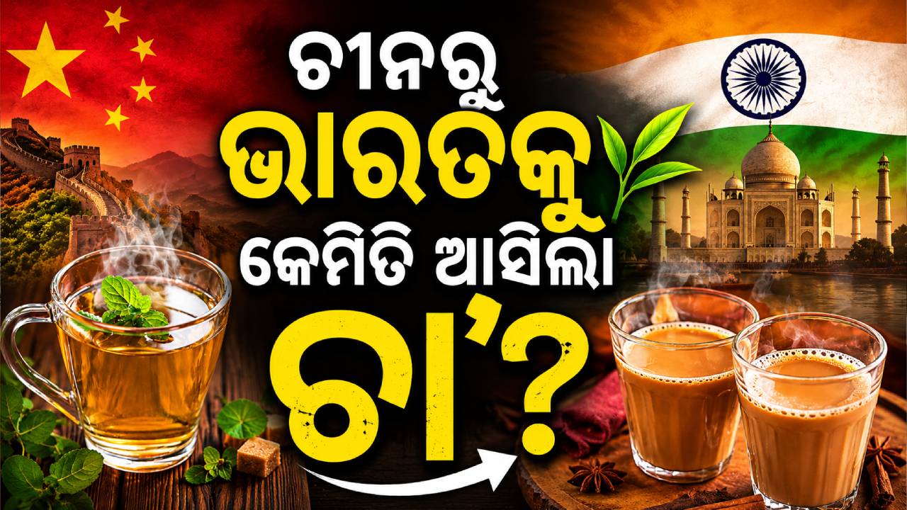 ଚୀନ ସମ୍ରାଟଙ୍କ ପାଖରୁ ଭାରତକୁ କେମିତି ଆସିଲା ଚା’, ଜାଣନ୍ତୁ ୨୧ ମେ’ରେ କାହିଁକି ପାଳନ କରାଯାଏ International Tea Day ?